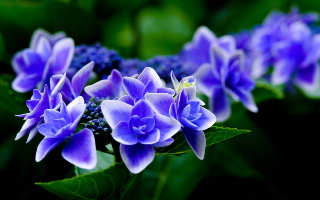 test3